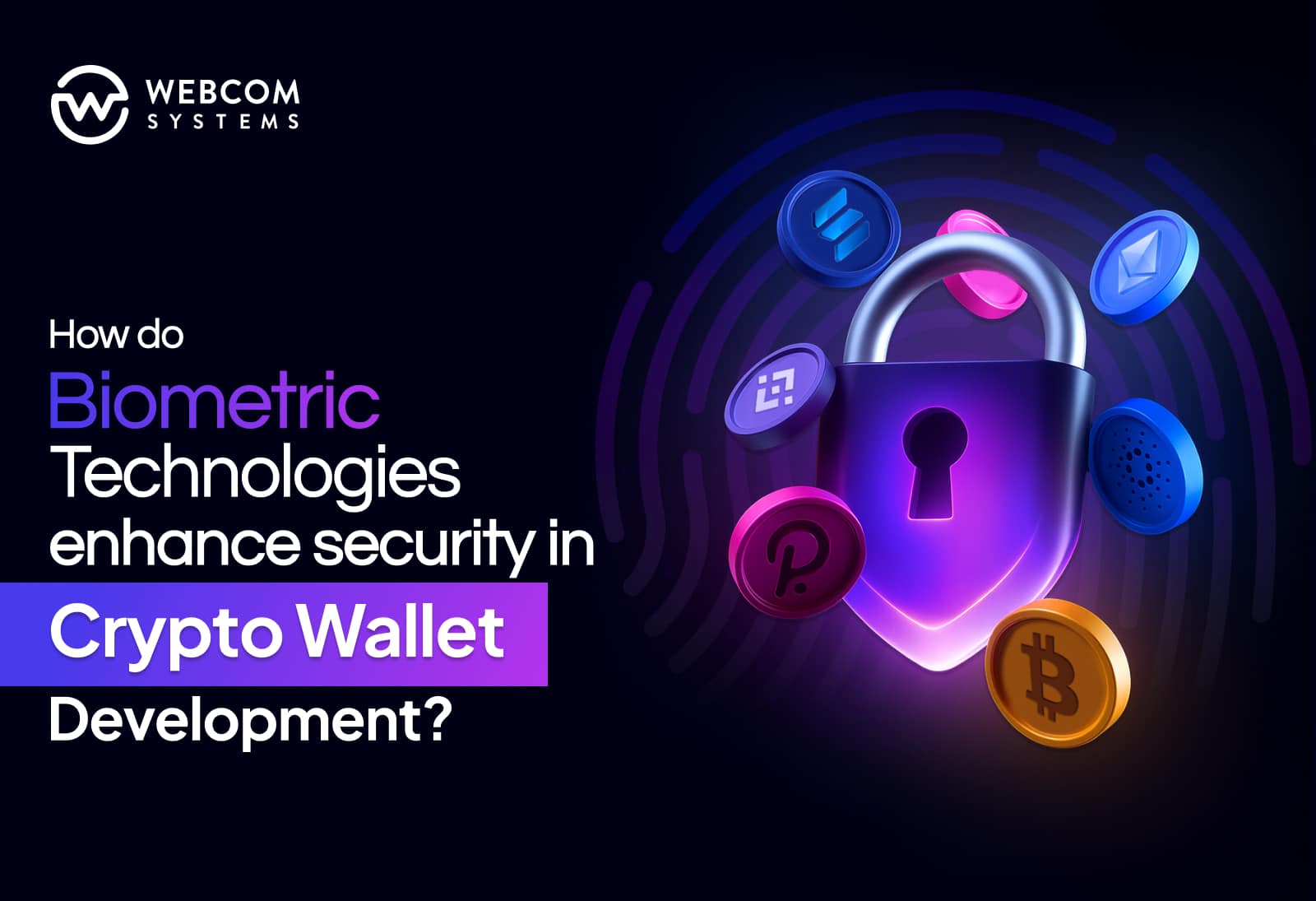 Brute crypto official website (89) foto